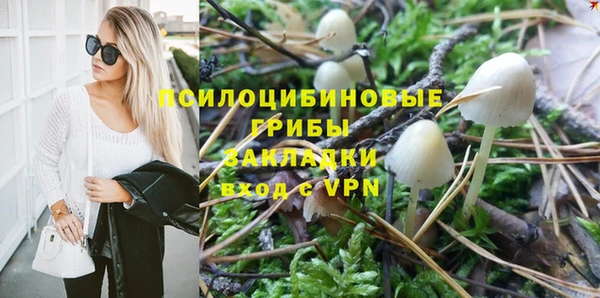 твердый Алексеевка