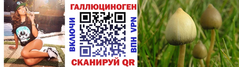 Псилоцибиновые грибы GOLDEN TEACHER  купить наркотики сайты  Красный Кут 